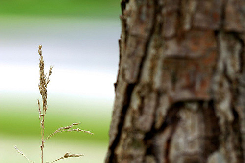 Small is beautiful in the charity sector