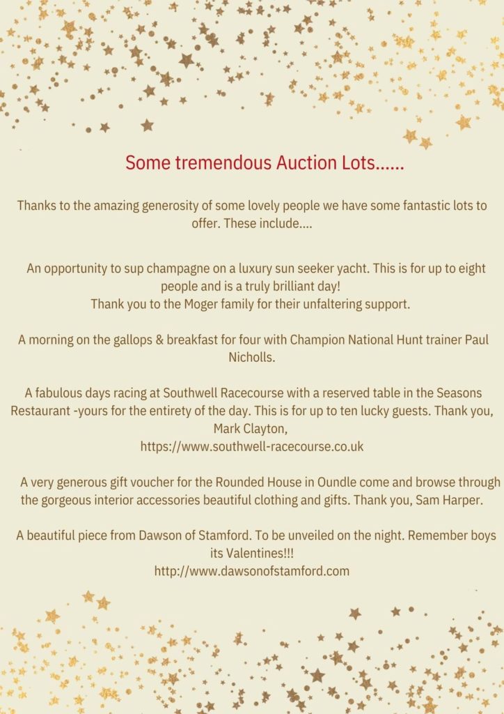 Auction lots for the After Umbrage Valentine's Charity Ball on Saturday 11th February 2023