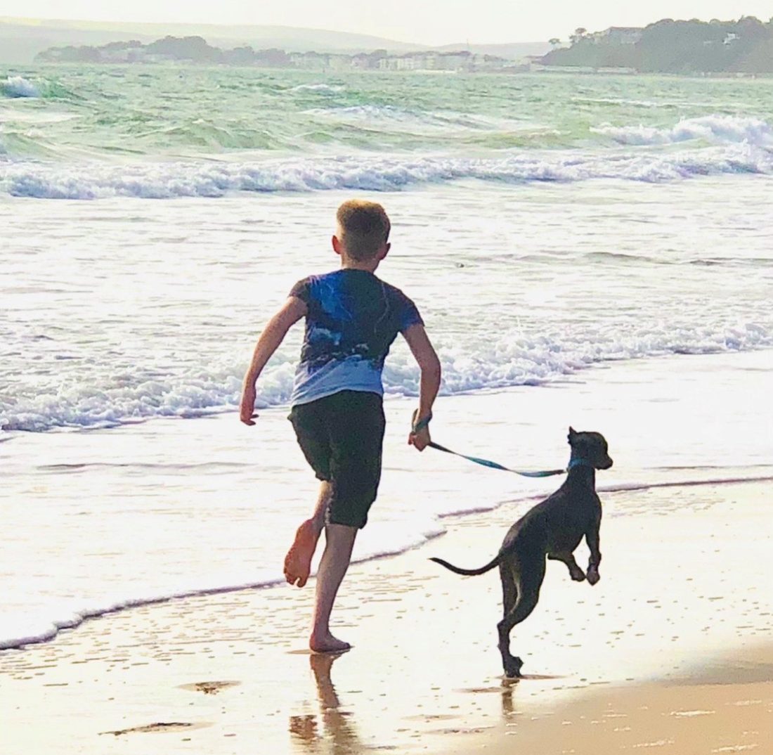 Logon running with Blue his whippet
